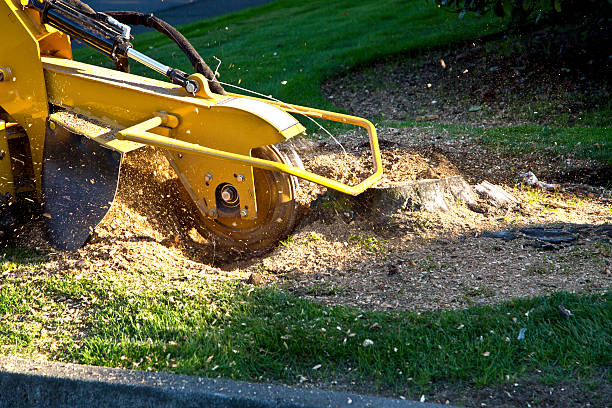 Artificial Turf Installation in Merrillville, IN